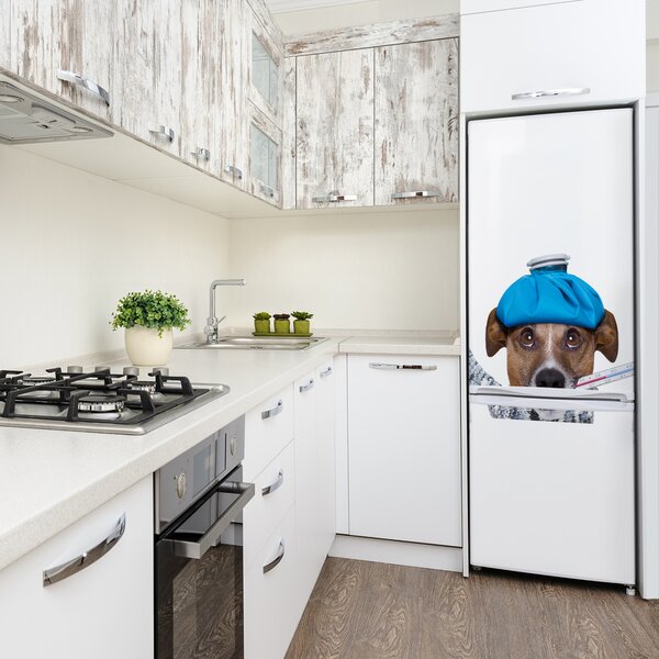 Foto nálepka na ledničku stěnu Nemocný pes FridgeStick-70x190-f-56627196