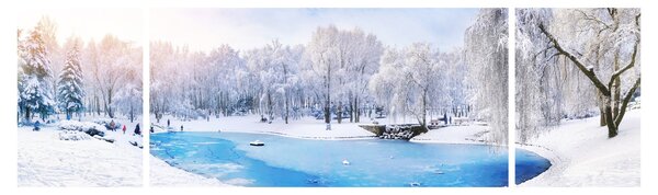 Obraz - Ledové jezero (170x50 cm)