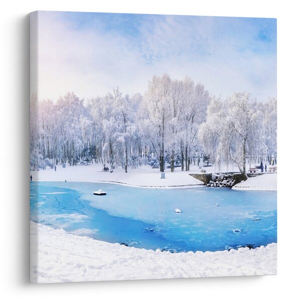 Obraz - Ledové jezero (30x30 cm)