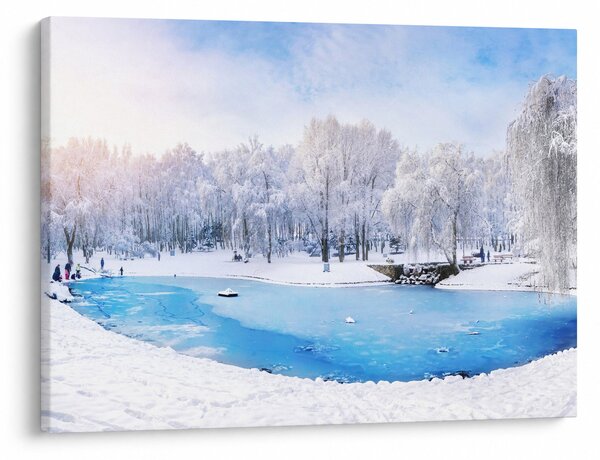 Obraz - Ledové jezero (70x50 cm)
