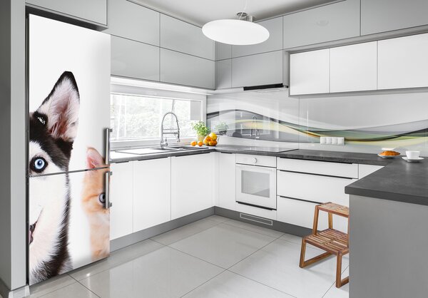 Foto nálepka na ledničku stěnu Pes a kočka FridgeStick-70x190-f-69481621