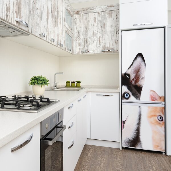 Foto nálepka na ledničku stěnu Pes a kočka FridgeStick-70x190-f-69481621