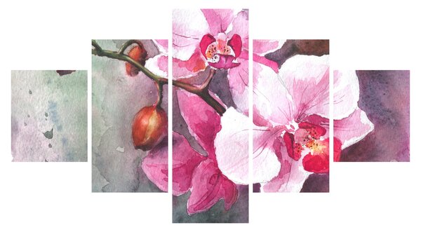 Obraz - Orchideje, aquarel (125x70 cm)