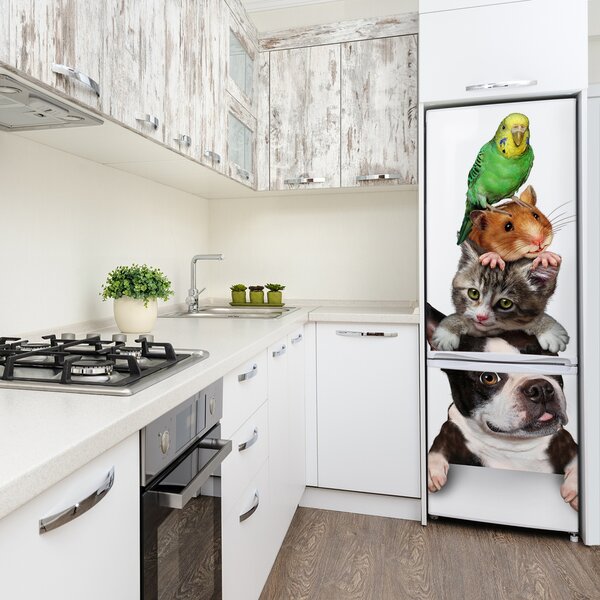 Nálepka fototapeta lednička Domácí zvířata FridgeStick-70x190-f-71830609