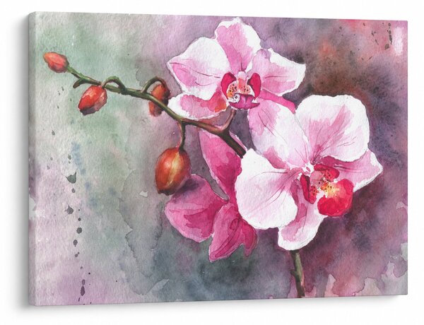 Obraz - Orchideje, aquarel (70x50 cm)