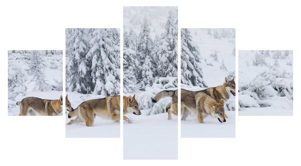 Obraz - Vlci v horách (125x70 cm)