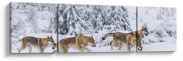 Obraz - Vlci v horách (170x50 cm)
