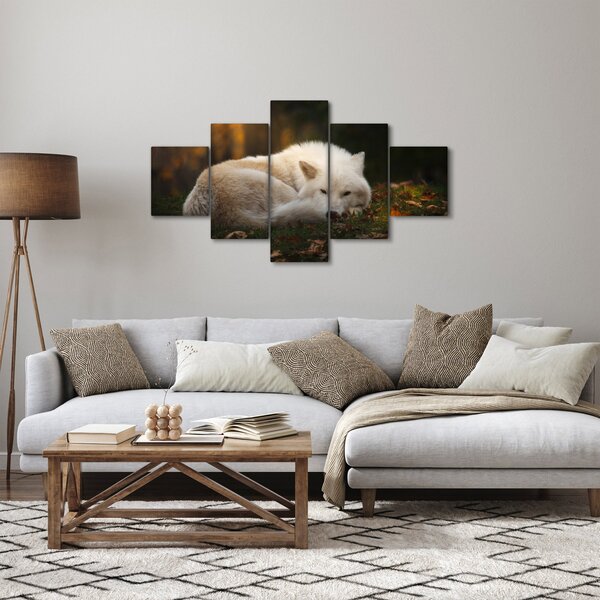 Obraz - Odpočívající vlk (125x70 cm)