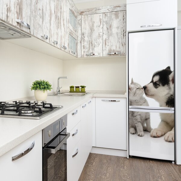 Foto nálepka na ledničku stěnu Pes a kočka FridgeStick-70x190-f-73561386