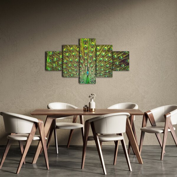 Obraz - Páv (125x70 cm)