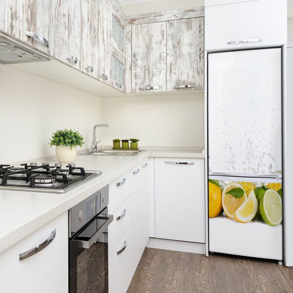 Nálepka na ledničku do domu fototapeta Citrusy FridgeStick-70x190-f-81760914