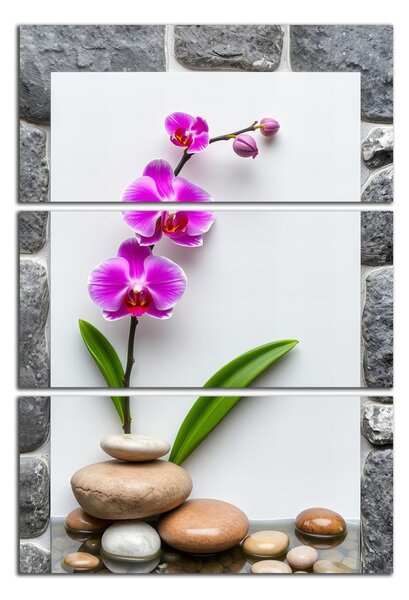 Obraz na zeď Orchidej a kameny