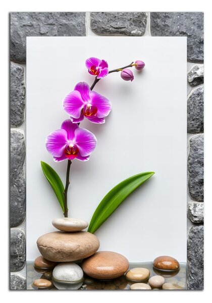 Obraz na zeď Orchidej a kameny