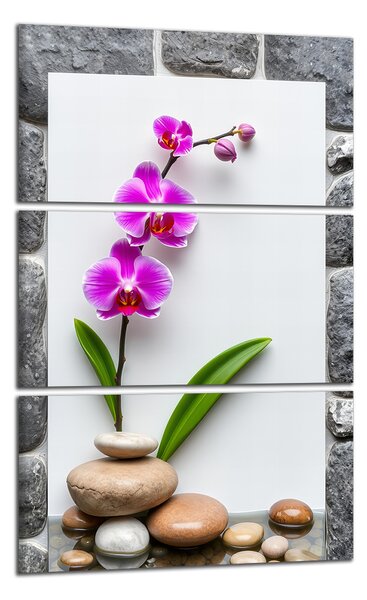 Obraz na zeď Orchidej a kameny