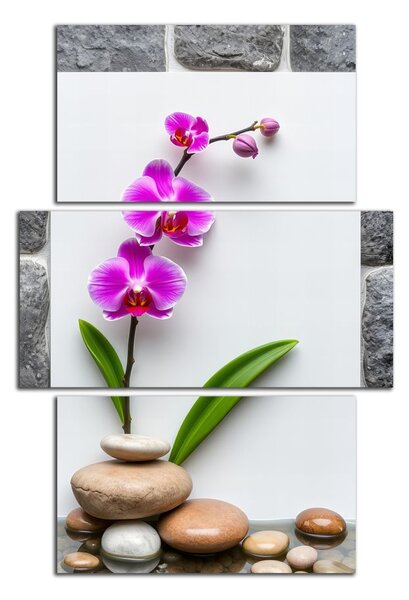 Obraz na zeď Orchidej a kameny