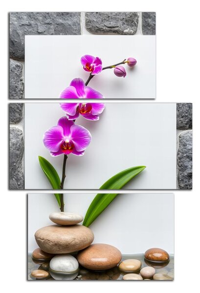 Obraz na zeď Orchidej a kameny