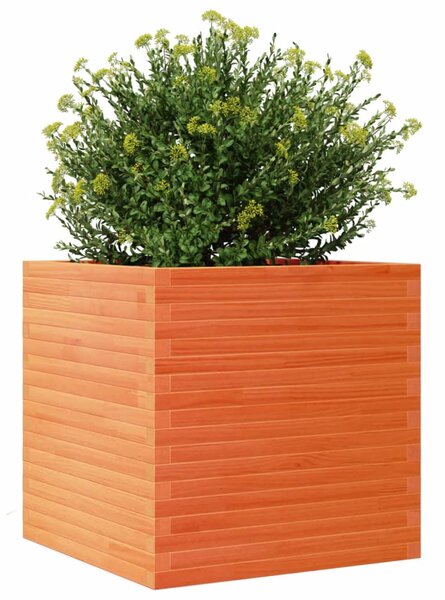 Zahradní truhlík voskově hnědý 70x70x68,5 cm masivní borovice 3282476