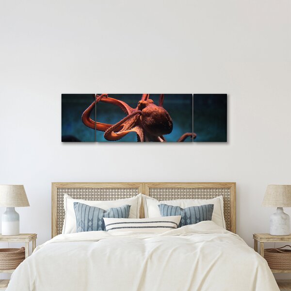 Obraz - Chobotnice (170x50 cm)