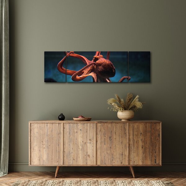 Obraz - Chobotnice (170x50 cm)