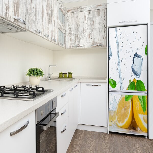 Nálepka na ledničku fototapeta Citron a led FridgeStick-70x190-f-82344620