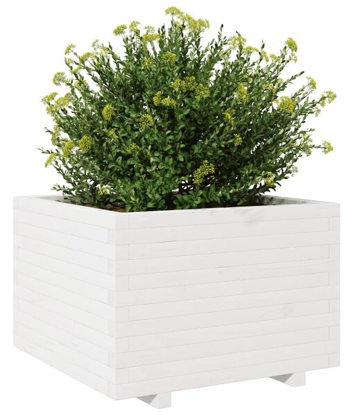 Zahradní truhlík bílý 70 x 70 x 49,5 cm masivní borové dřevo 3282525