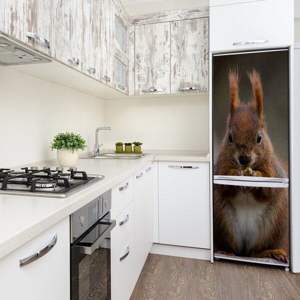 Nálepka fototapeta lednička Veverka FridgeStick-70x190-f-82764516