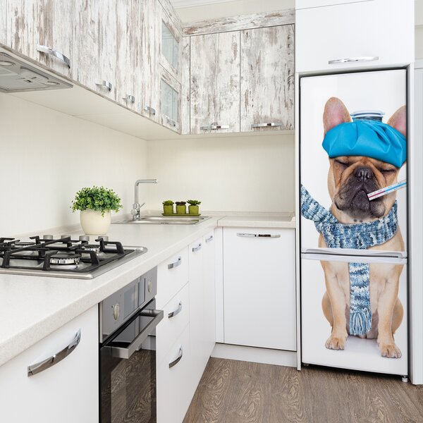 Foto nálepka na ledničku stěnu Nemocný pes FridgeStick-70x190-f-82923606