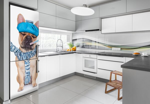 Foto nálepka na ledničku stěnu Nemocný pes FridgeStick-70x190-f-82923606