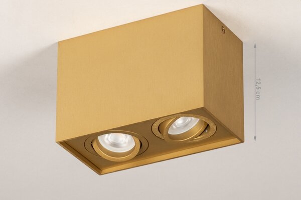 Stropní bodové LED svítidlo Tyler II Gold (LMD)
