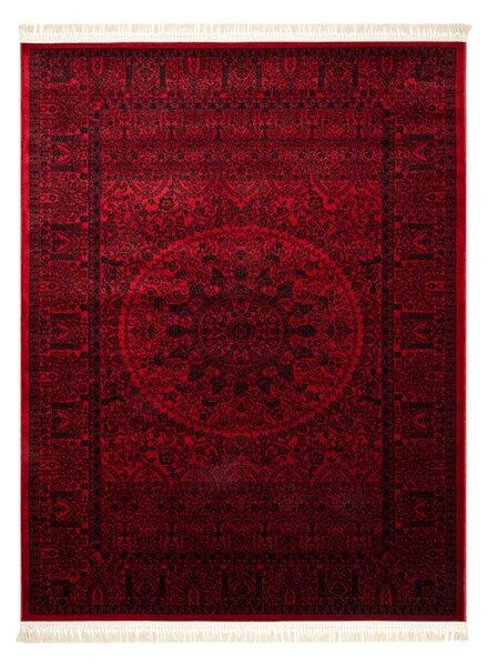 Koberec ORIENT 6039 s třásněmi, rám / orientální / rozeta, bordó / černý