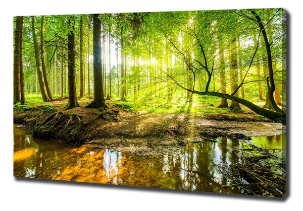 Foto obraz na plátně Rybník v lese pl-oc-100x70-f-96124300