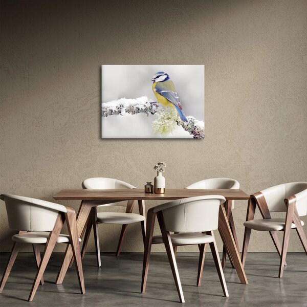 Obraz - Sýkora modřinka v lese (70x50 cm)