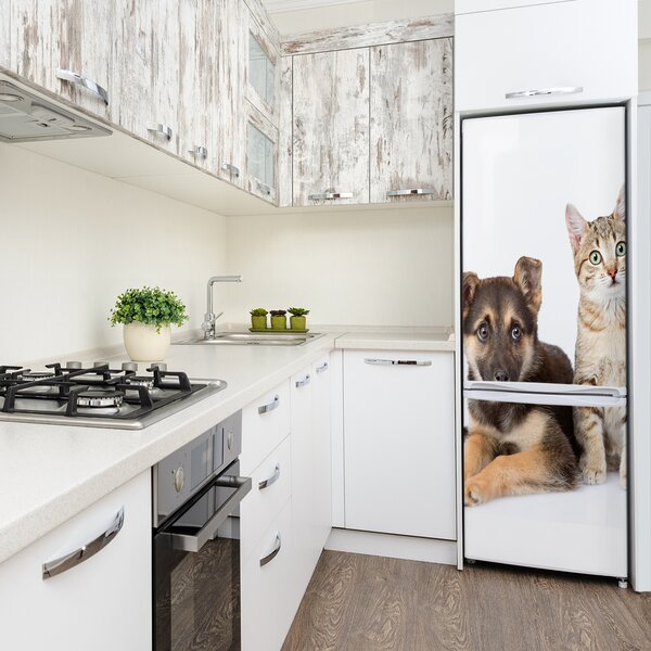 Foto nálepka na ledničku stěnu Pes a kočka FridgeStick-70x190-f-94452483