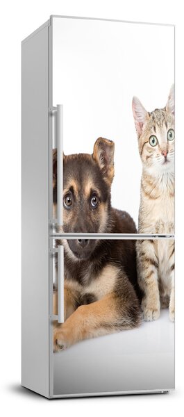 Foto nálepka na ledničku stěnu Pes a kočka FridgeStick-70x190-f-94452483