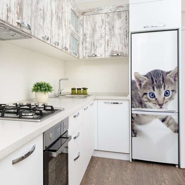 Nálepka fototapeta lednička Malá kočka FridgeStick-70x190-f-95620650