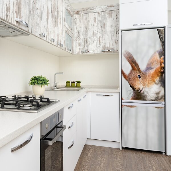 Foto nálepka na ledničku Veverka na stromě FridgeStick-70x190-f-97008260