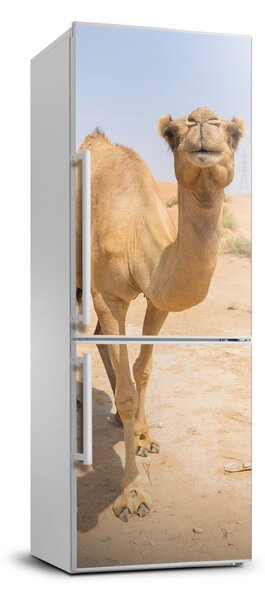 Samolepící nálepka na ledničku Velbloud FridgeStick-70x190-f-97157557