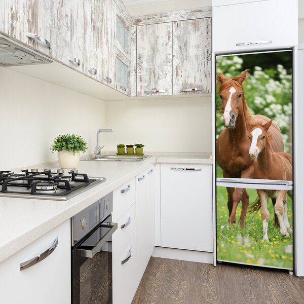 Nálepka fototapeta lednička Kobyla hříbě FridgeStick-70x190-f-108016658