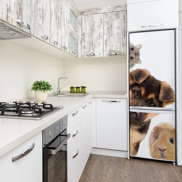 Nálepka fototapeta lednička Domácí zvířata FridgeStick-70x190-f-111143742