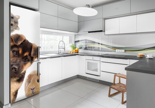 Nálepka fototapeta lednička Domácí zvířata FridgeStick-70x190-f-111143742