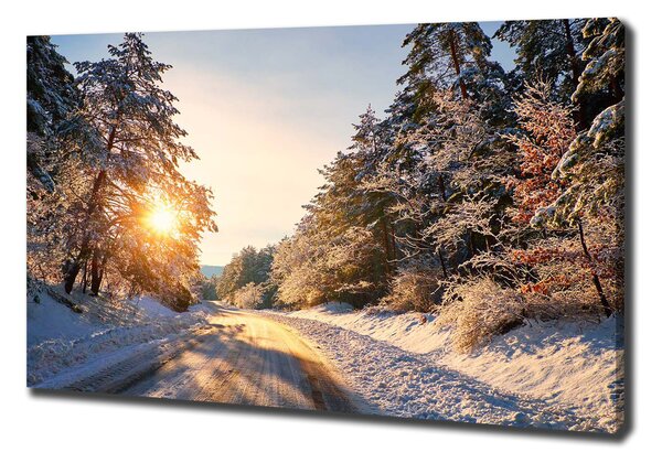 Foto obraz na plátně Cesta v lese zima pl-oc-100x70-f-77332313