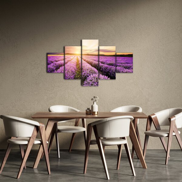 Obraz - Východ slunce v levandulovém poli (125x70 cm)