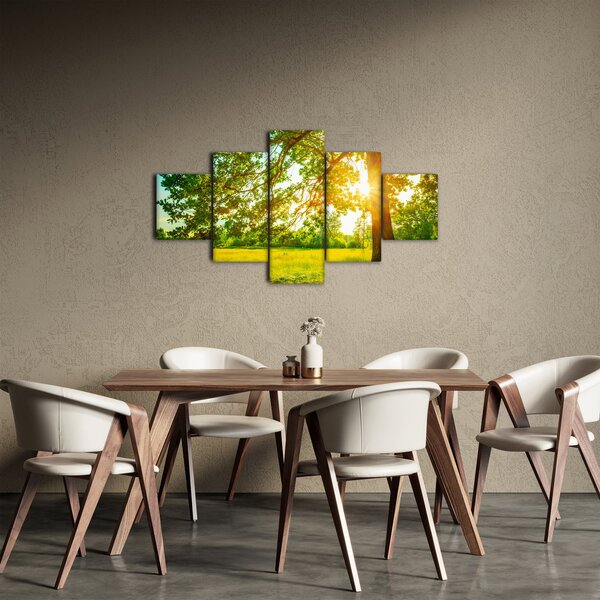 Obraz - Slunečný les (125x70 cm)