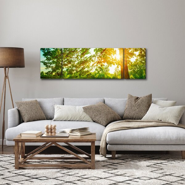 Obraz - Slunečný les (170x50 cm)