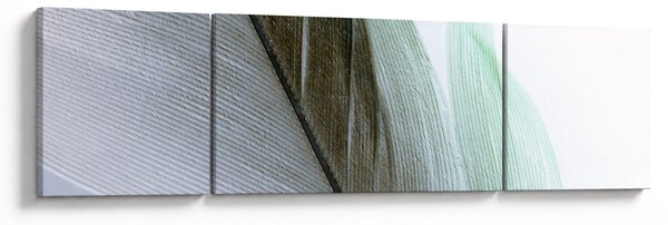 Obraz - Peří, makro (170x50 cm)