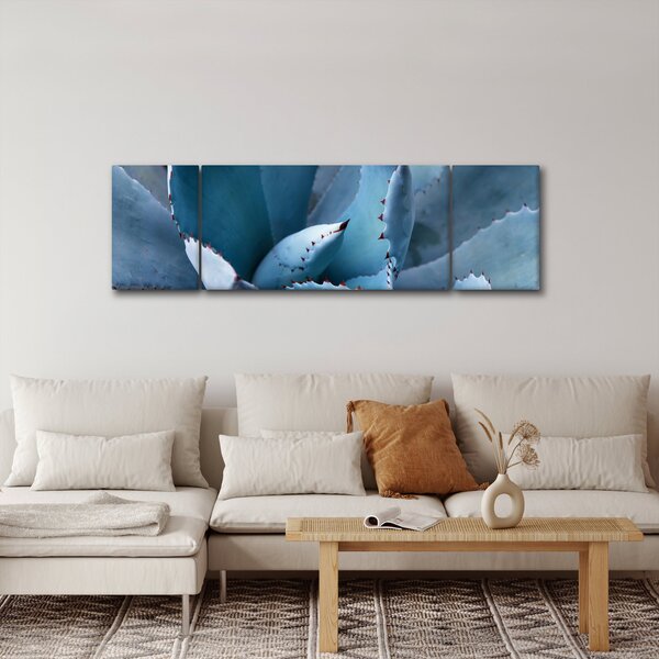 Obraz - Agáve (170x50 cm)