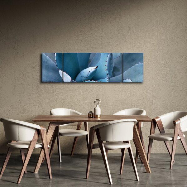 Obraz - Agáve (170x50 cm)