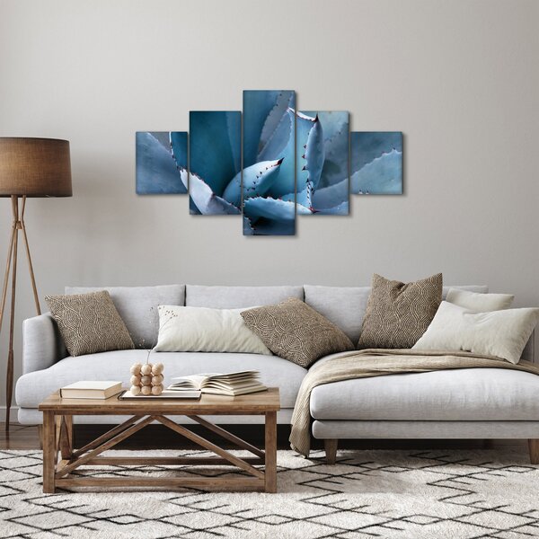 Obraz - Agáve (125x70 cm)