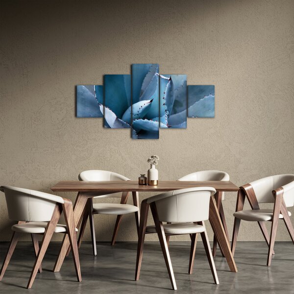 Obraz - Agáve (125x70 cm)