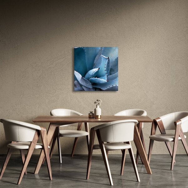 Obraz - Agáve (30x30 cm)